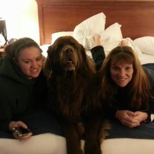 Meet your Posher, Kelly